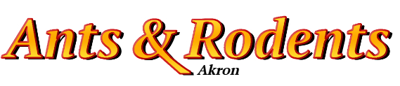 Akron Ant Exterminator & Rodent Control Company Logo